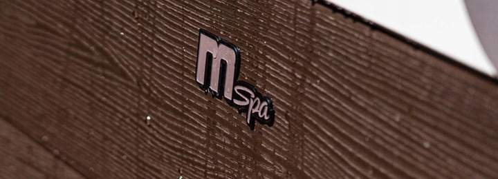 MSPA-TRIBECA